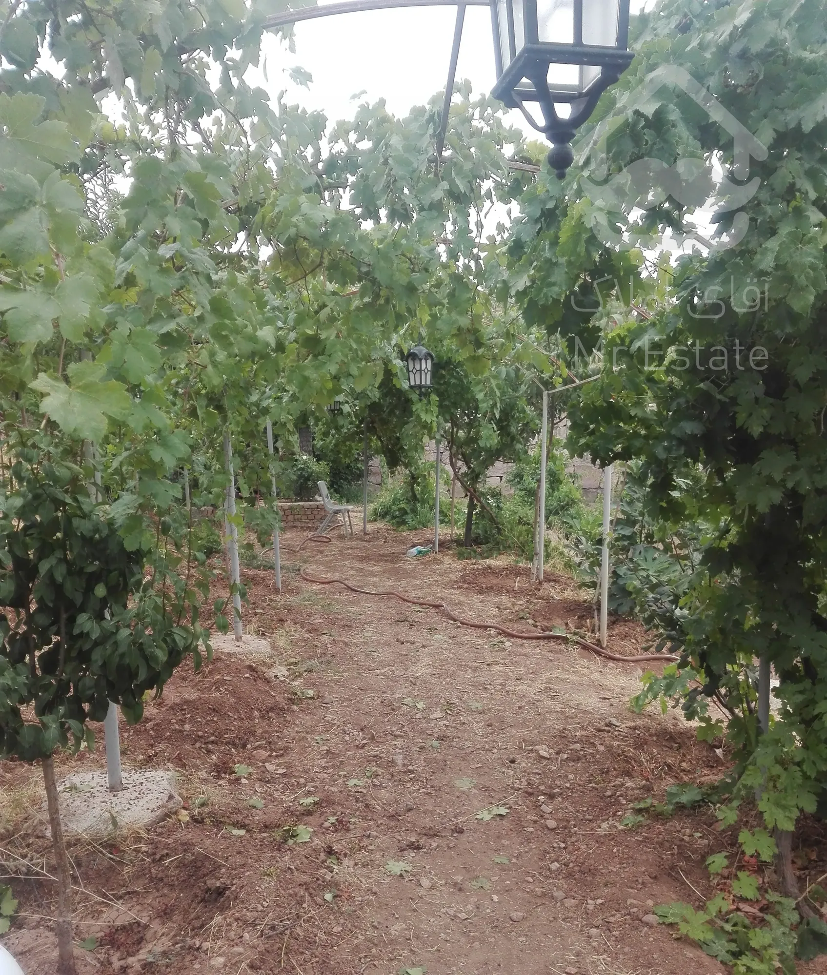 فروش باغ ویلای دنج و باصفا در قزوین