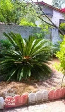 فروش ویلا باغ ميوه 280 متر دوبلكس زير قيمت در نور