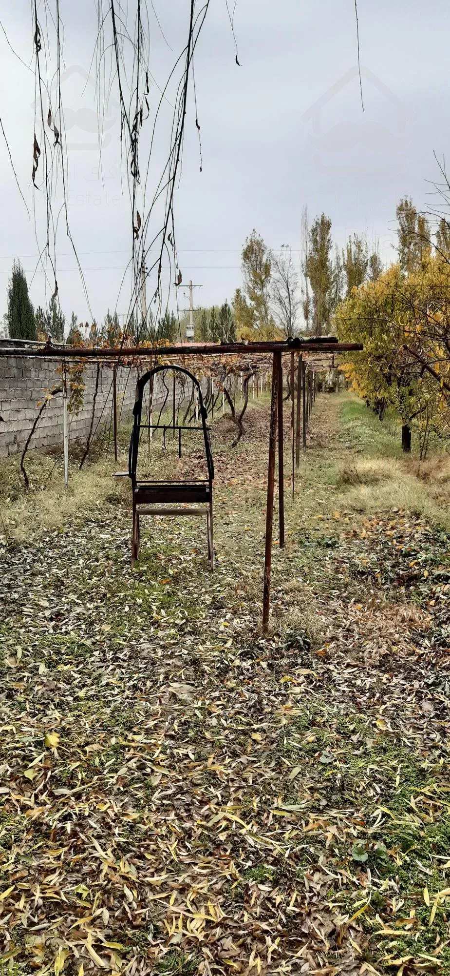 باغ ویلا 4000 متری  بسیار دیدنی در رویایی ترین منطقه کردان