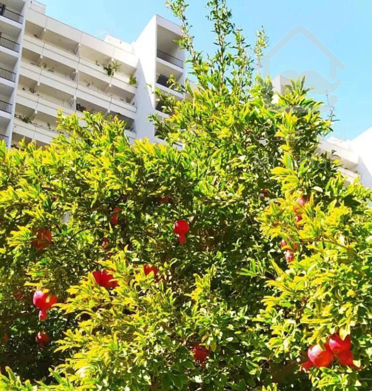 شهرک امید/فول/ویو /سه خواب