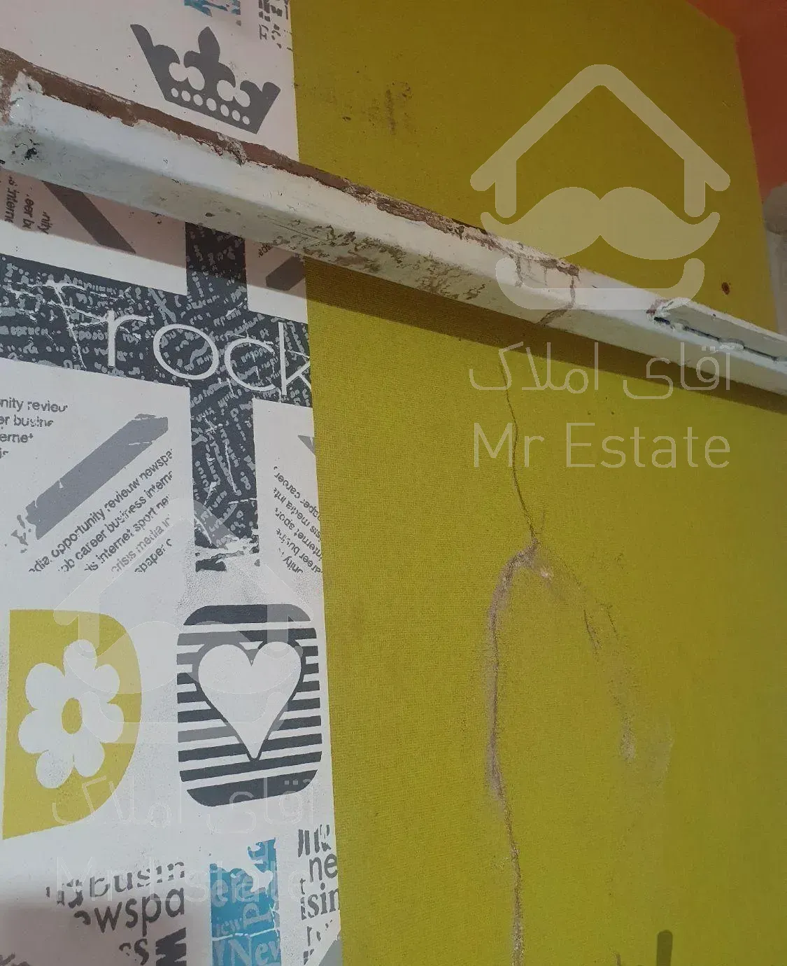 موریانه زدایی با تضمین ۳۰ سال/سمپاشی/ریشه کنی سوسک