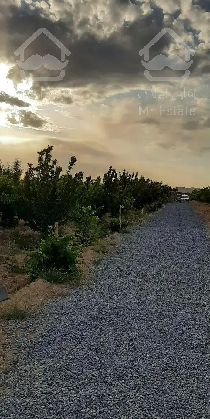 باغ میوه نقلی