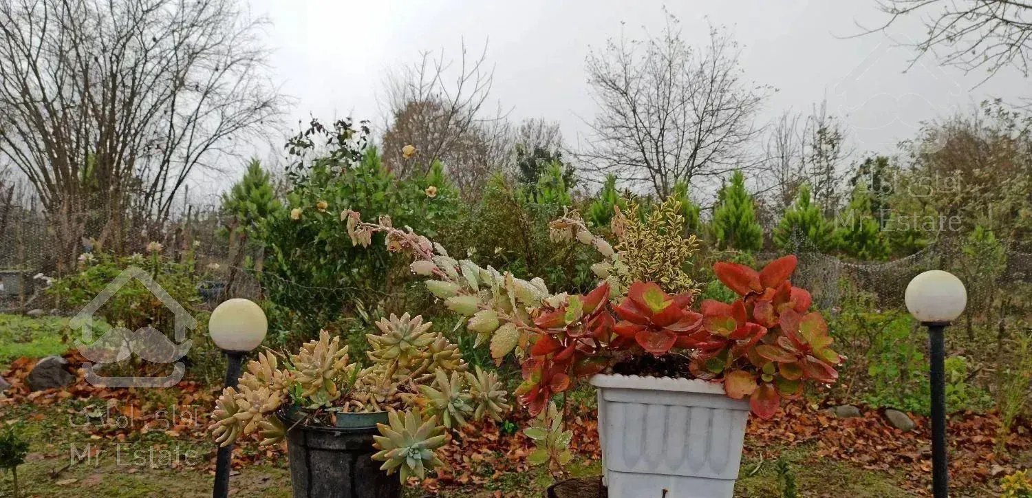 ویلای جنگلی با ویوی ابدی