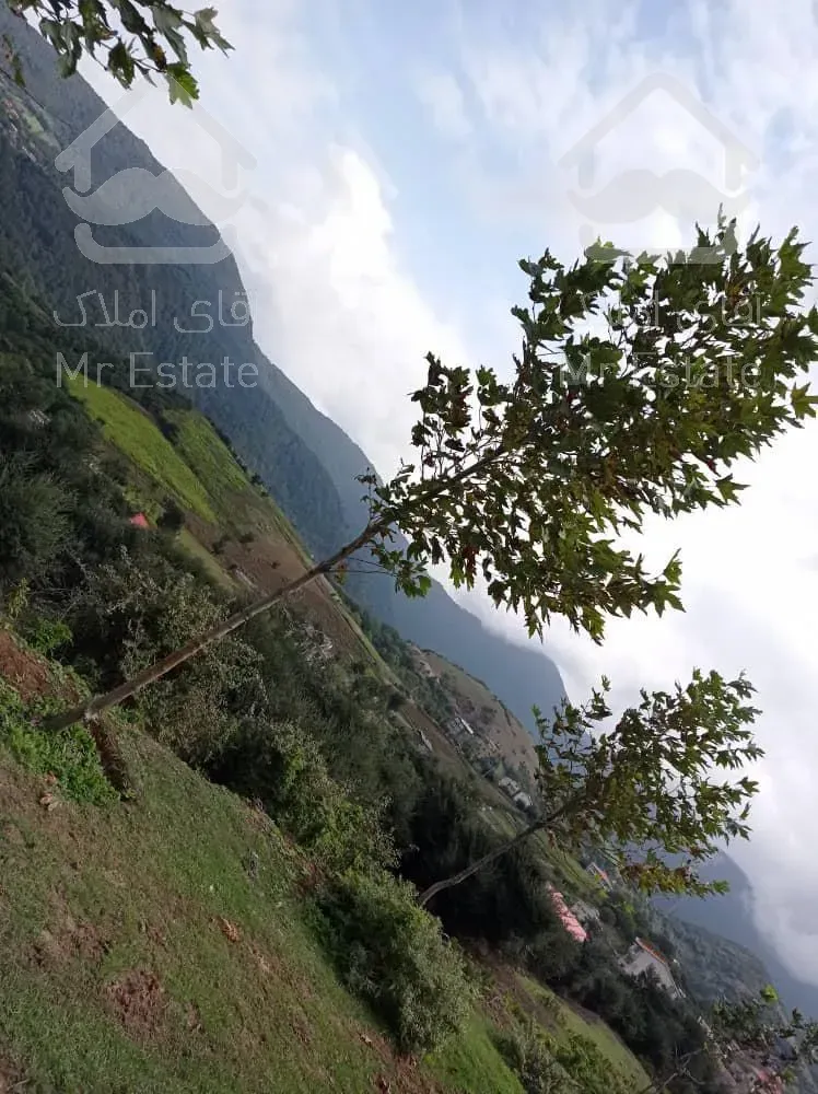 فروش ۴۰۰۰ متر ویو لاکچری