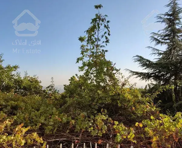 ۲۲۰ متر اقدسیه انتهای بزرگراه ارتش شهرک لاله