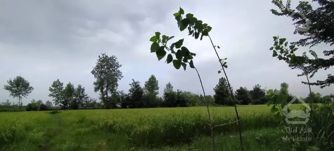 ویلا باغ دنج حاشیه شهر رشت