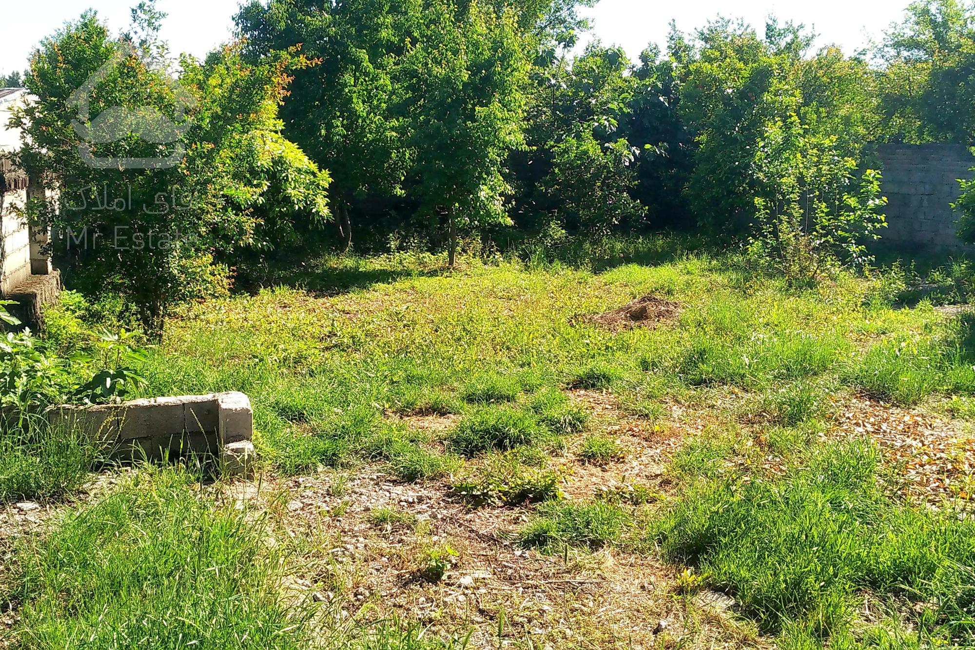 فروش زیرقیمت زمین‌مسکونی ۳۵۶متر قائمشهر