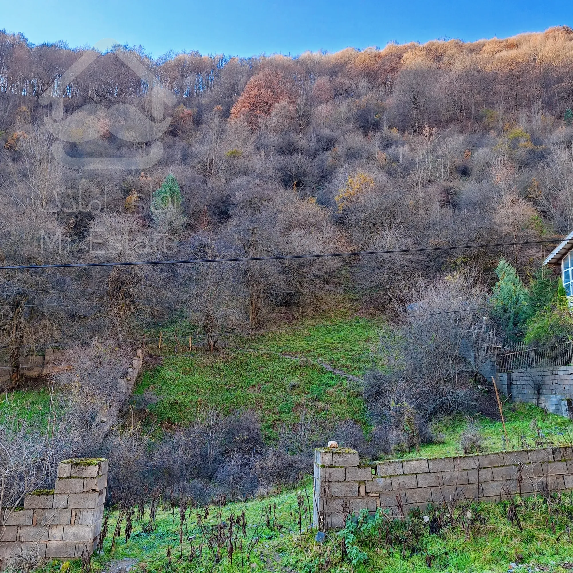 این زمین وسط جنگلای رودبارکه