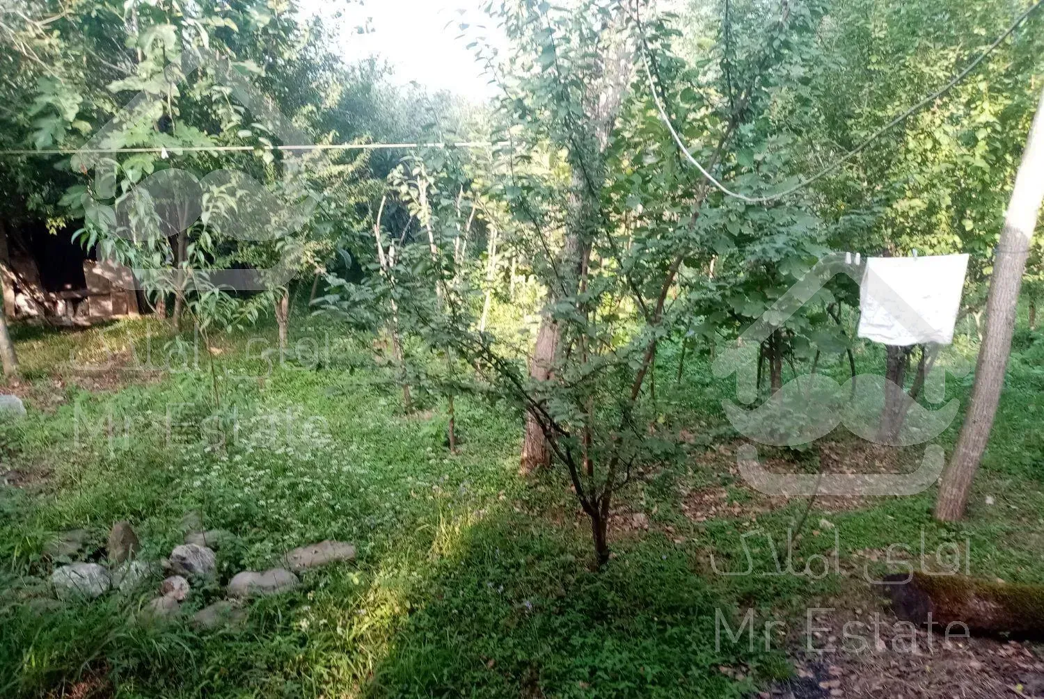 خونه حیاط دار و جای امن در شهر