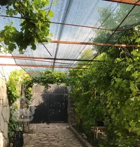 باغ دور دیوار با امتیازات