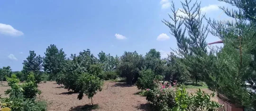 خونه باغ بالای تپه ویو ابدی