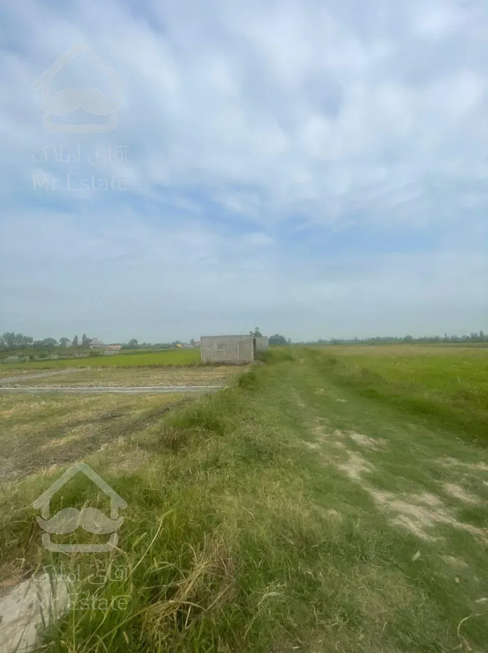 فروش فوری زمین زیر قیمت ۲۰۰ متر در جاده اوجی آباد