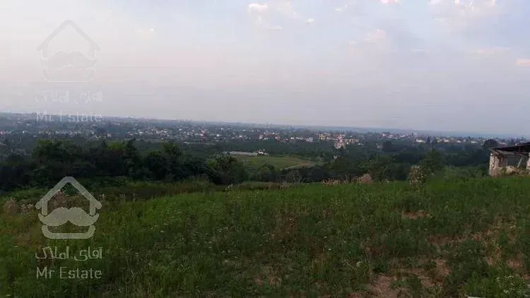 فروش زمین هکتاری جنگلی دارای کاربری