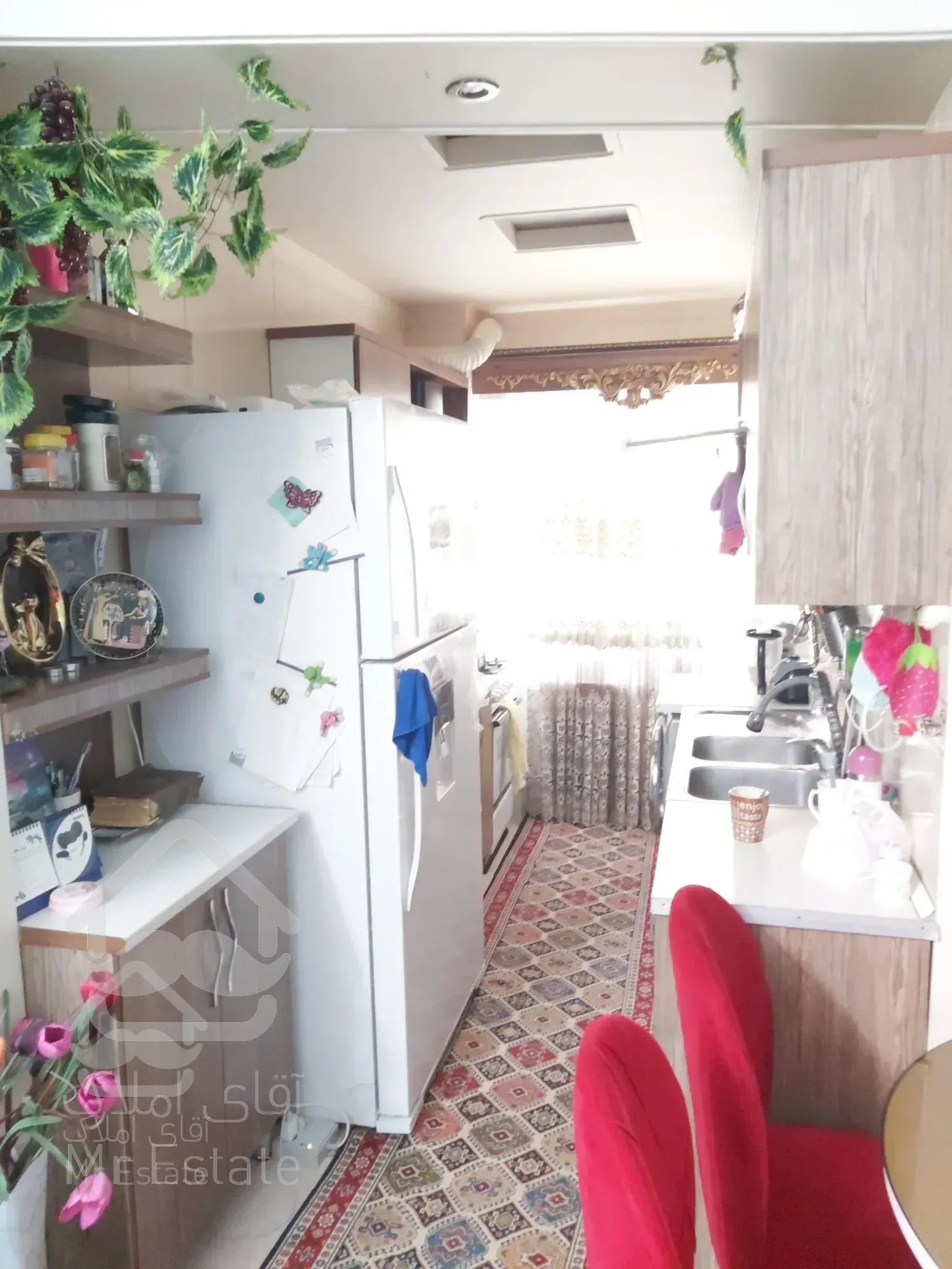 سی متری جی برادران فلاح