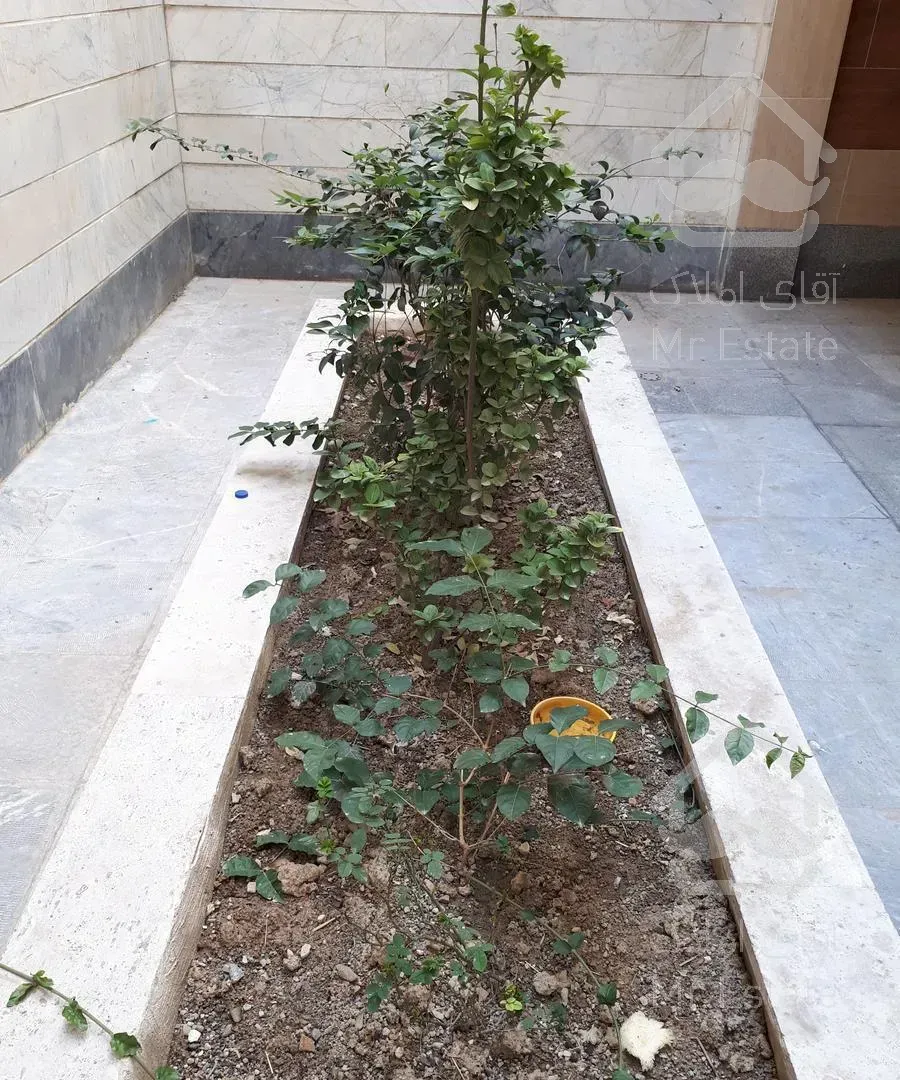 آپارتمان نقلی  خوش نقشه تک‌واحدی