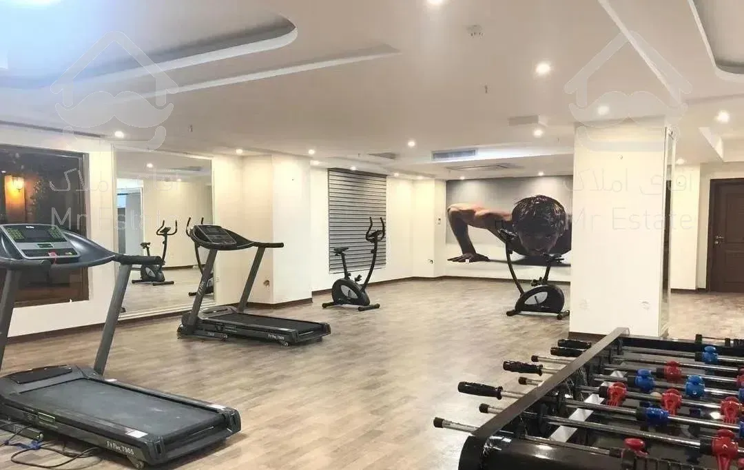 181مترنورگیر شاهپسند زندگی رویایی رونیکاپلاس