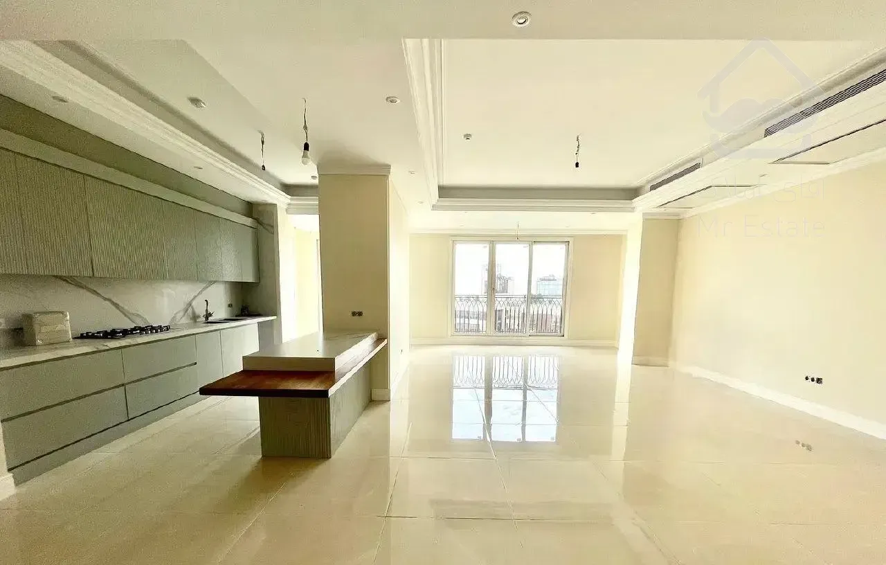 ۱۶۰ متری نورگیر عالی * ویودار  * نیاوران *