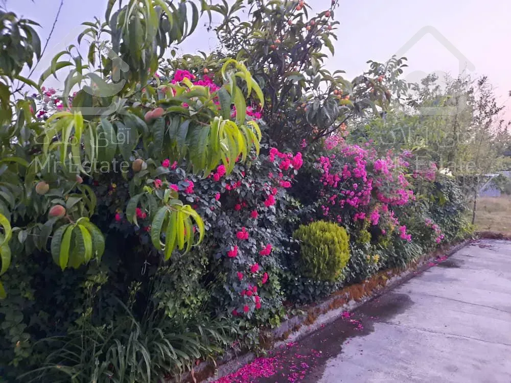 باغ ویلا قابل تهاتر