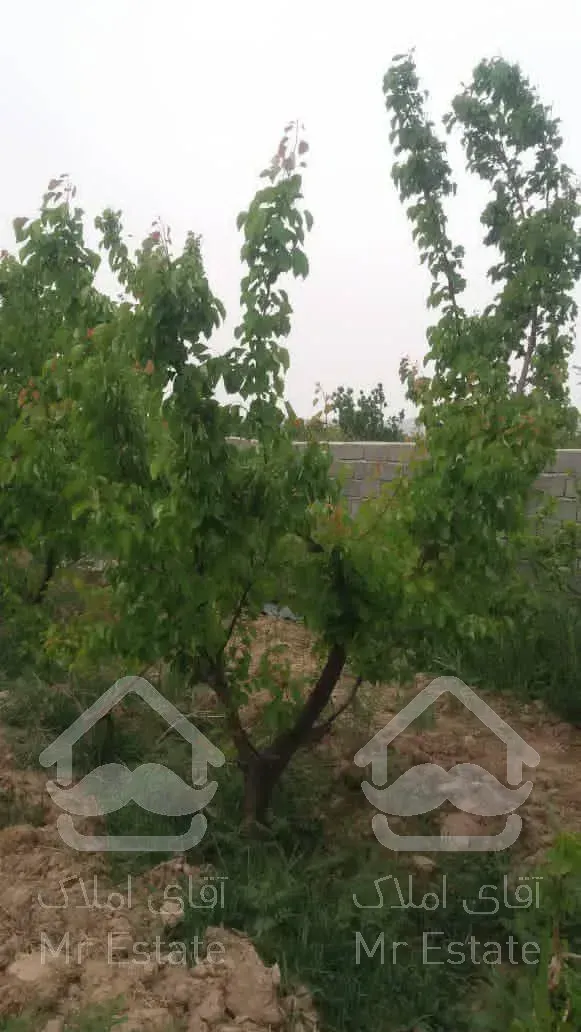 فروش فوری باغ ویلا 1300 متری