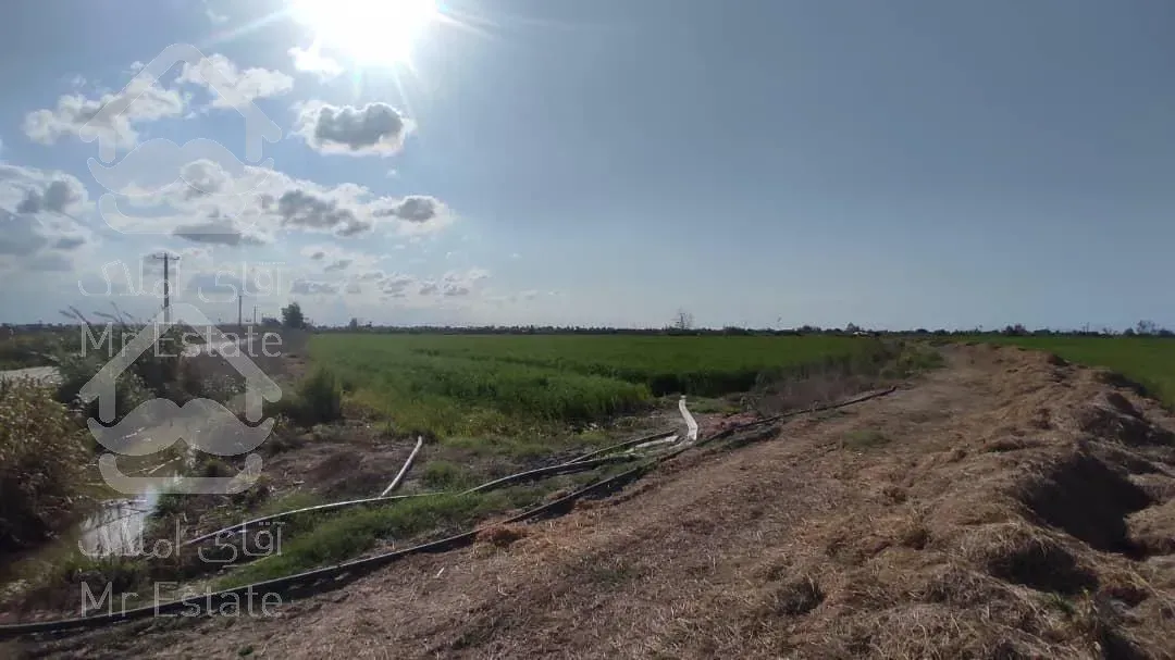 زمین 30 هکتاری در شمال با امکانات بینظیر