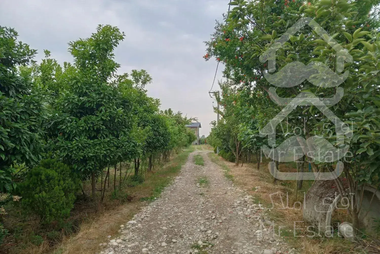 اجاره ویلا باغ تنکابن(لزربن)