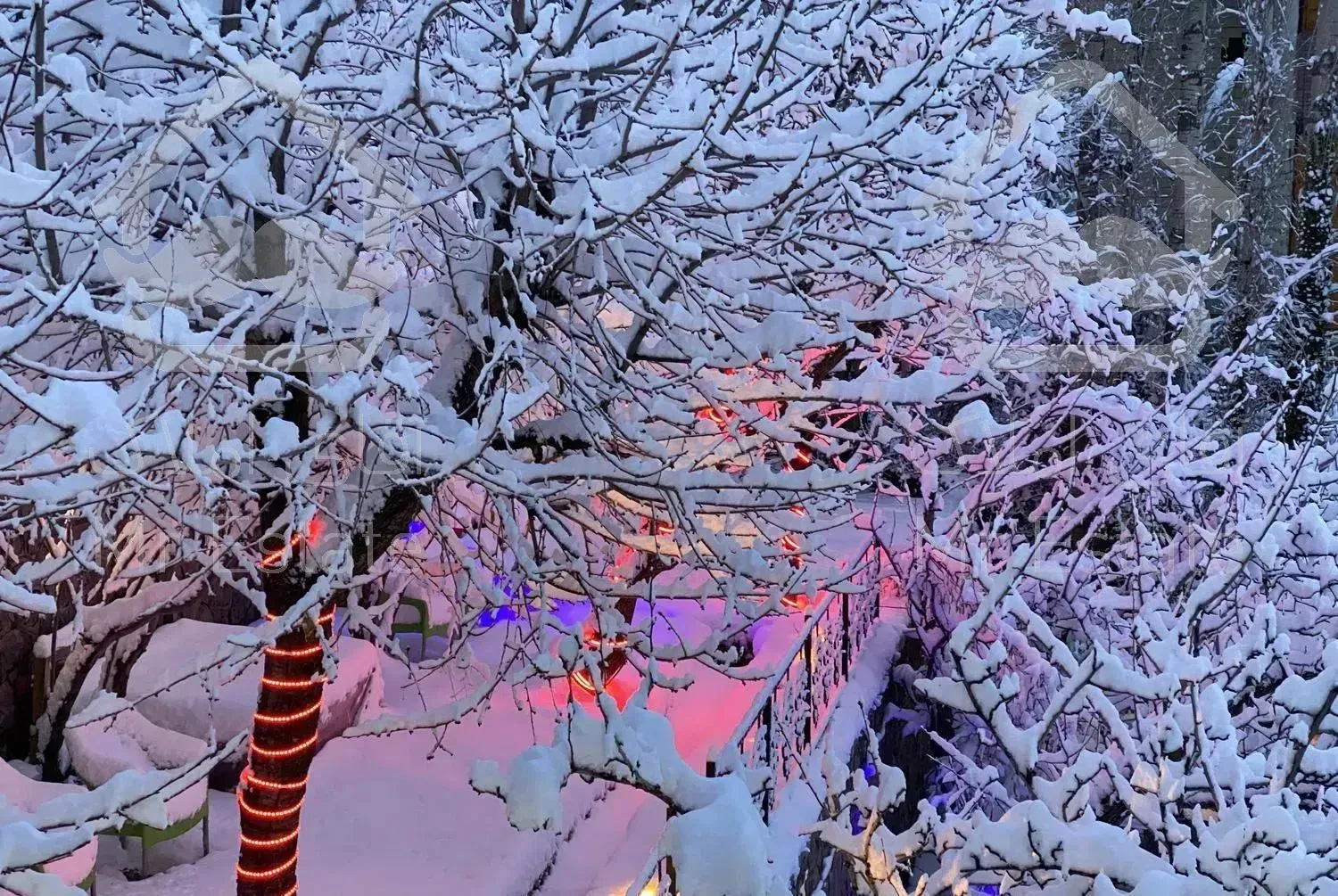 اجاره باغ ویلا  بین فشم و میگون