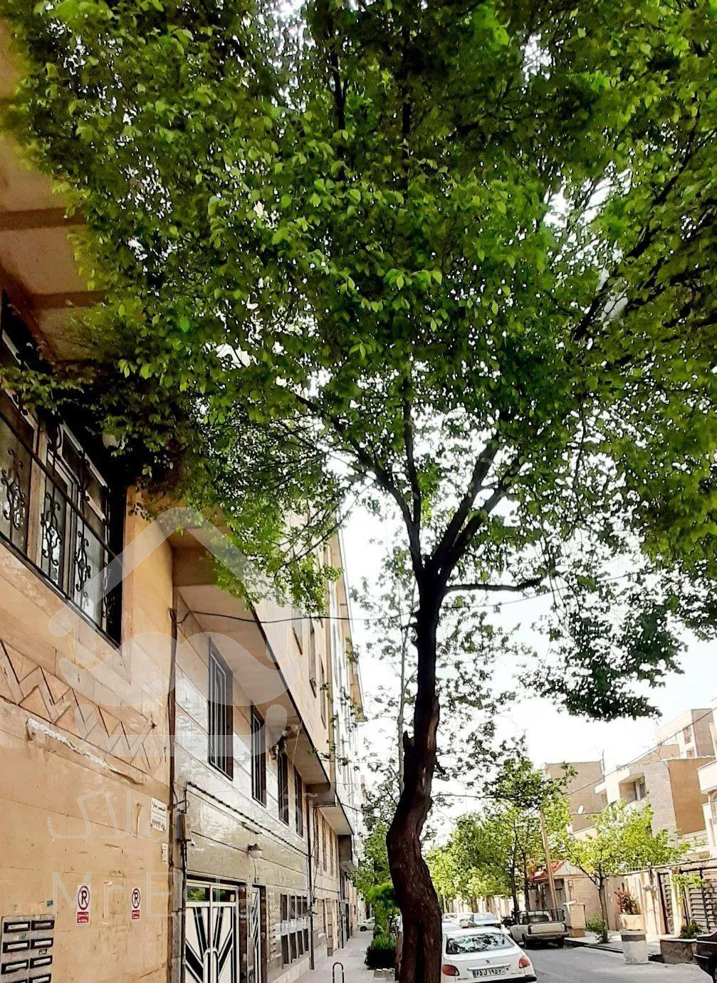 ۳۵متر۱خ پارکینگ آسانسور روب افتاب