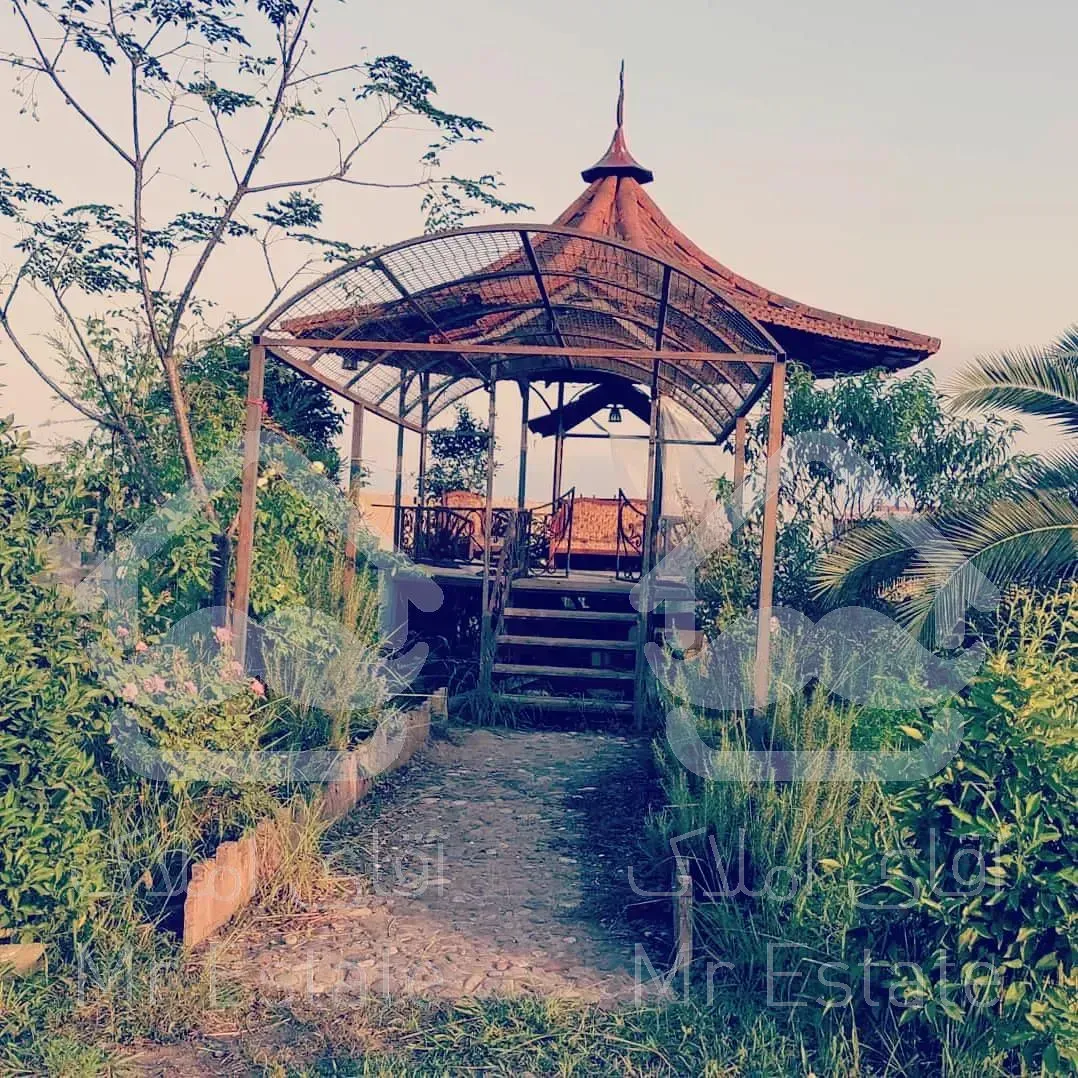 فروش‌فوری گاوداری