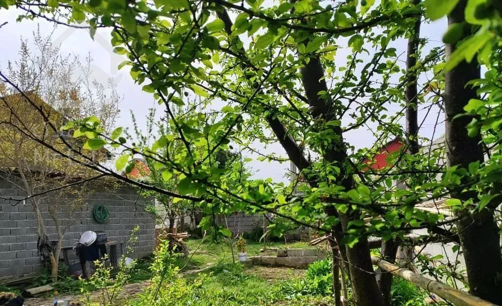 خونه باغ قدیمی  داخل بافت ۴۰۰متر