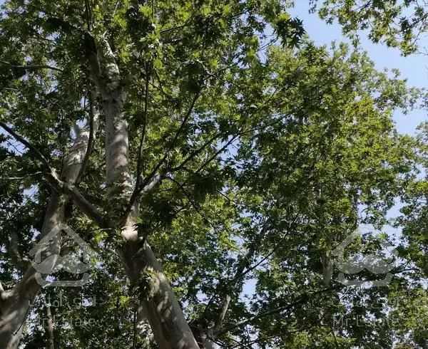 آپارتمان نوساز ۱۵۰ متر جماران