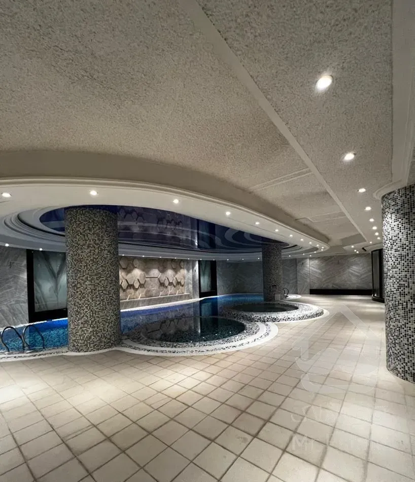 نیاوران دیپلمات نشین/۳۱۵متر۳خ/برج برند/Pent House