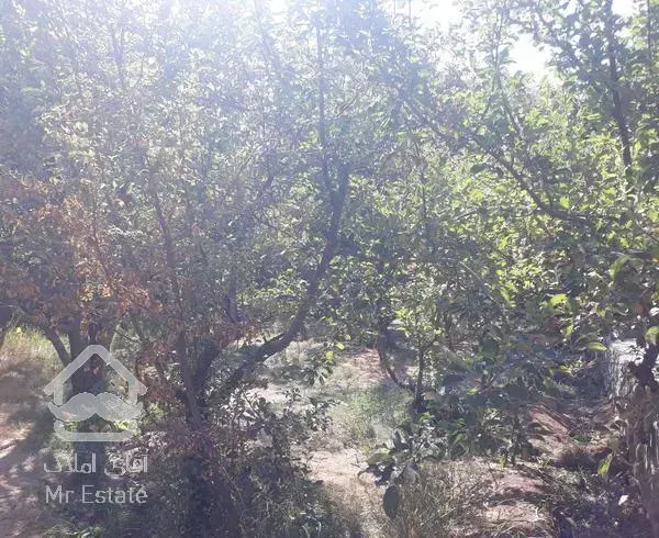 ۳۷۰ متر باغ قدیمی احمدآباد