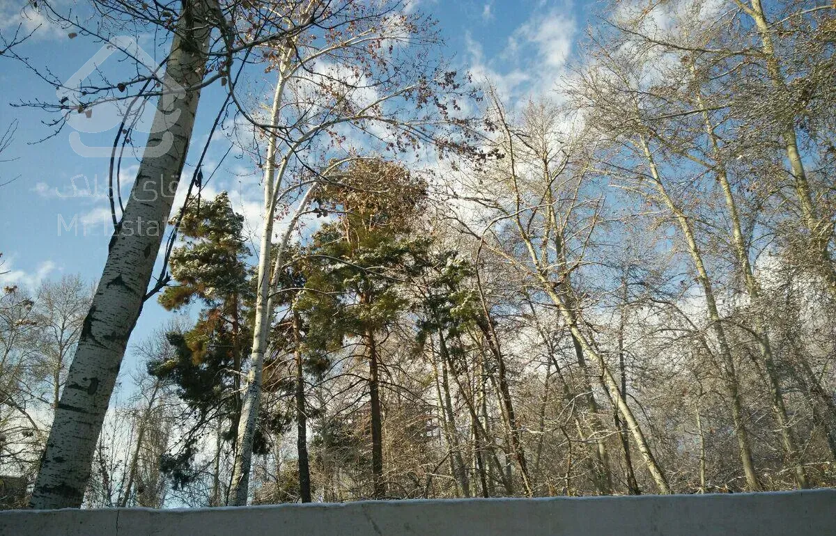 ویلایی ۵۰۳ متر نزدیک جاده چالوس