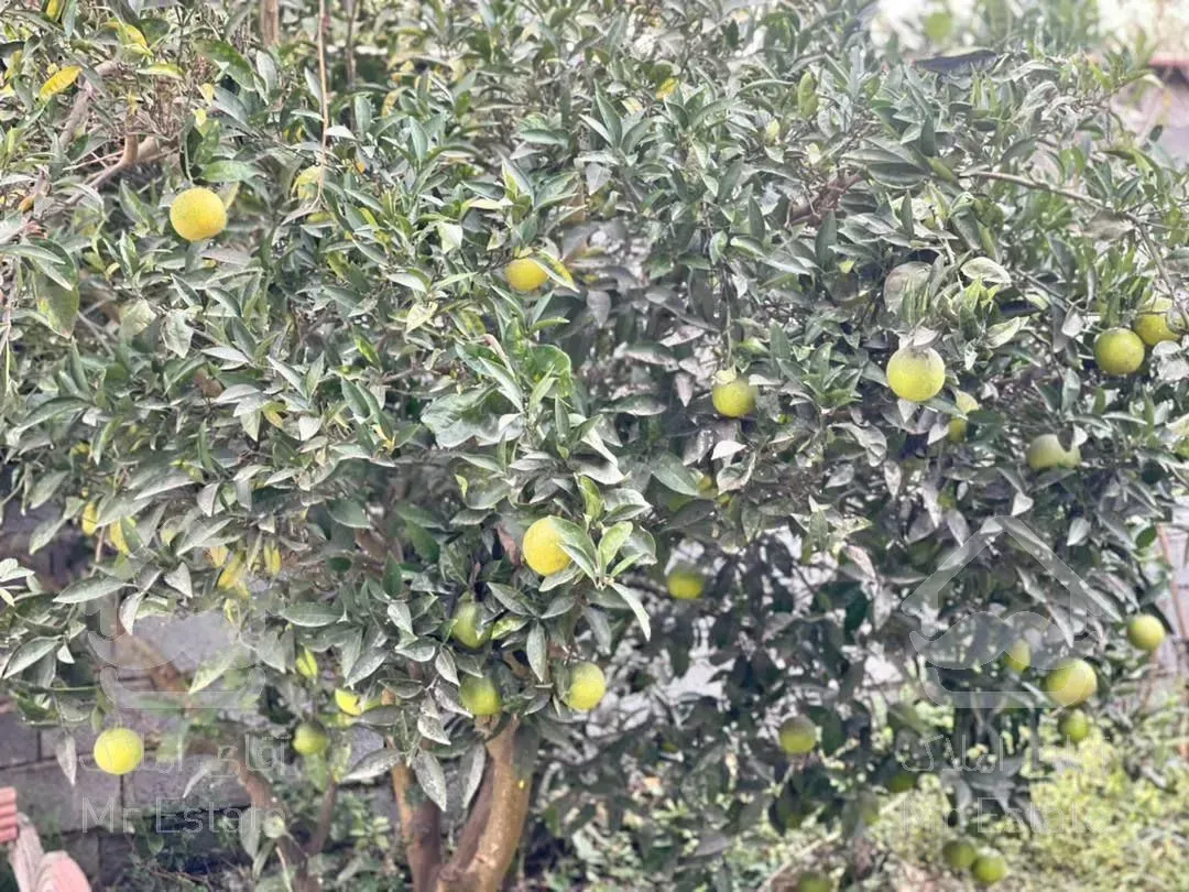 فروووش ویلا باغ در محیطی باغی و سرسبز ۴۰۰ متری در آمل