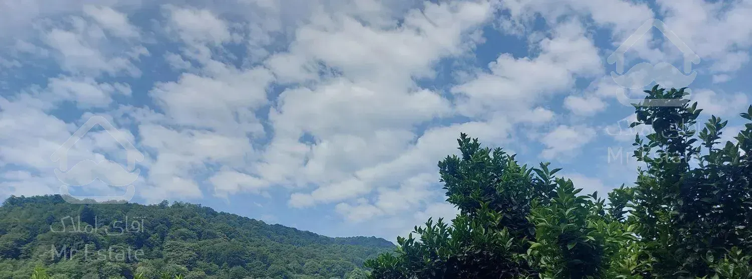 ویلا جنگلی در جاده سیاهکل دیلمان