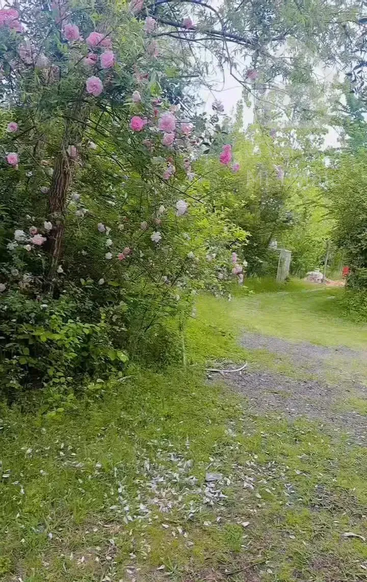 خونه باغ سرسبز/فومن