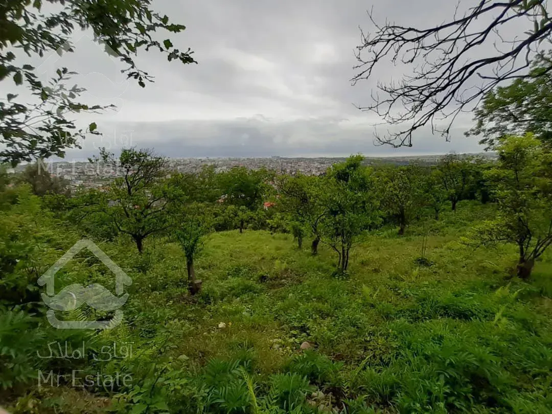 فروش زمین با چشم انداز عالی