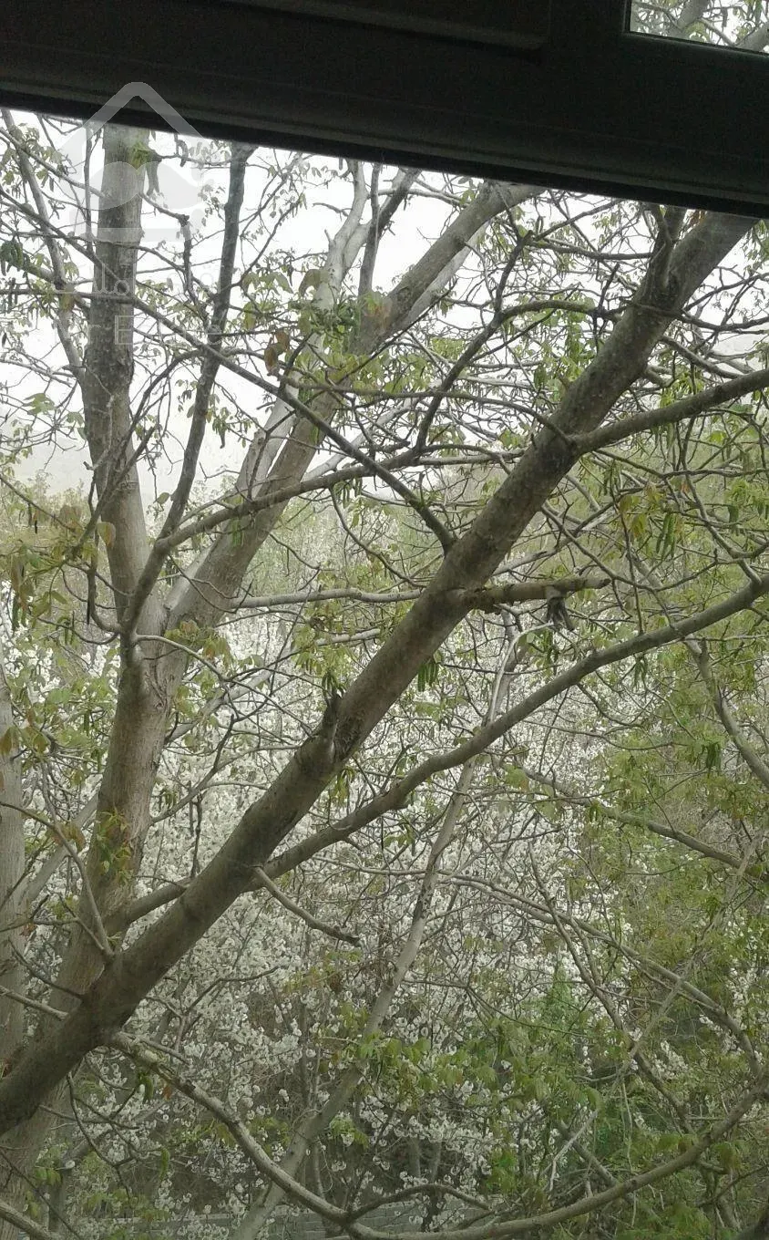 74 متر آپارتمان با ویو بی نظیر و ابدی در سولقان