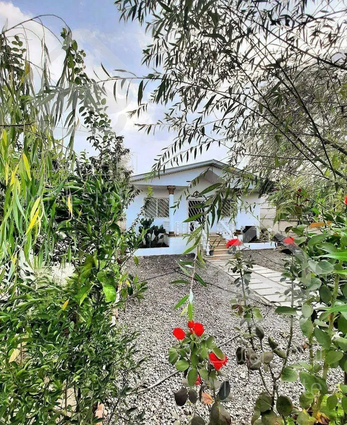 ویلاباغ فلت/۲۵۰متر/سنددار/جاده جنگلی چمستان