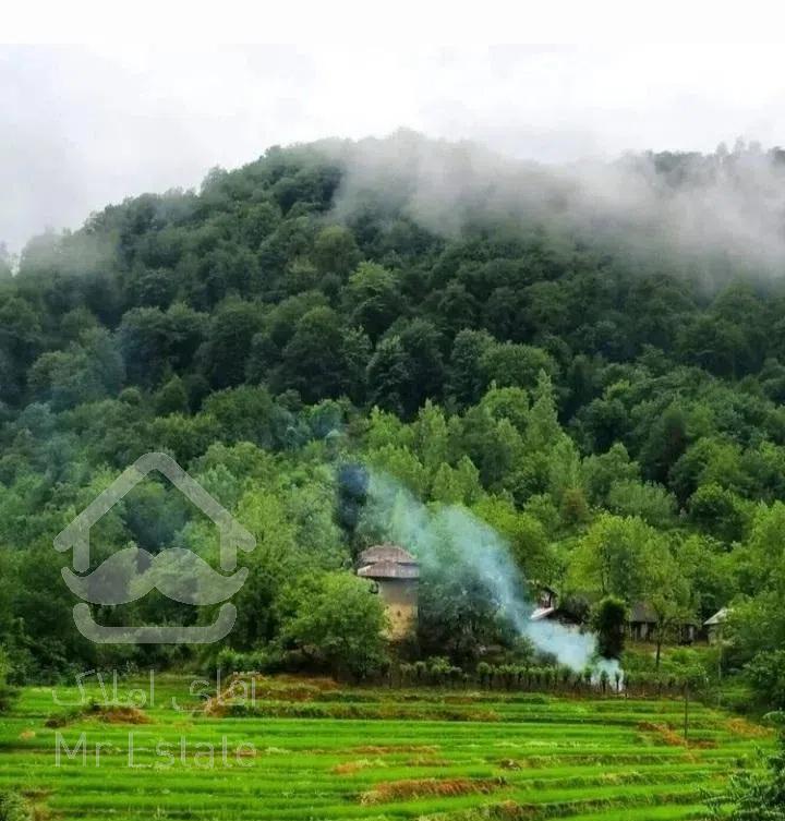 اجاره کلبه درماسال با چشم انداز سبز