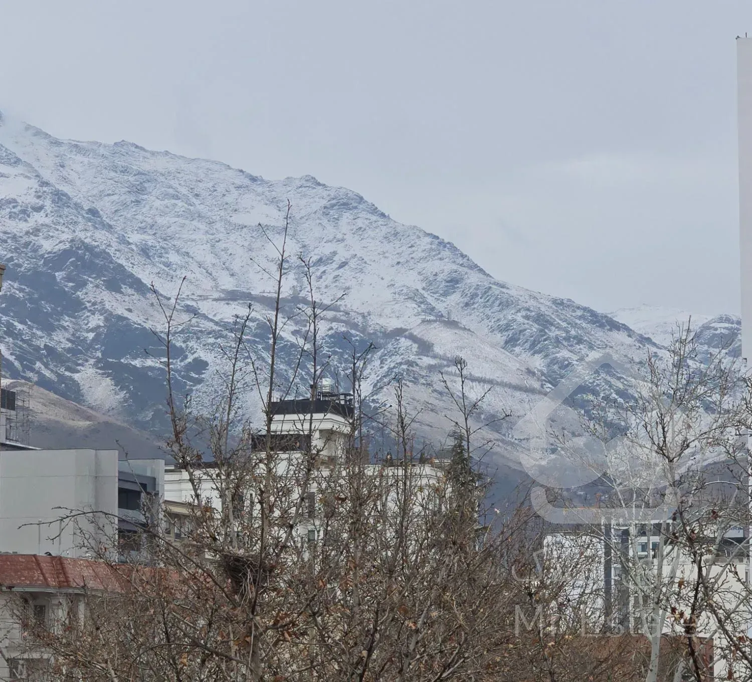 زعفرانیه ۱۸۶ متر ۳ خواب مستر استخر فعال