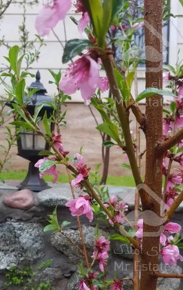 ۶۱متر پیروزی خ محوی با پارکینگ