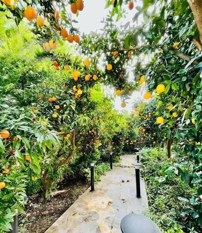 ویلاباغ استخردارپرثمر۵۰۰متری/مالک تحت فشارمهریه