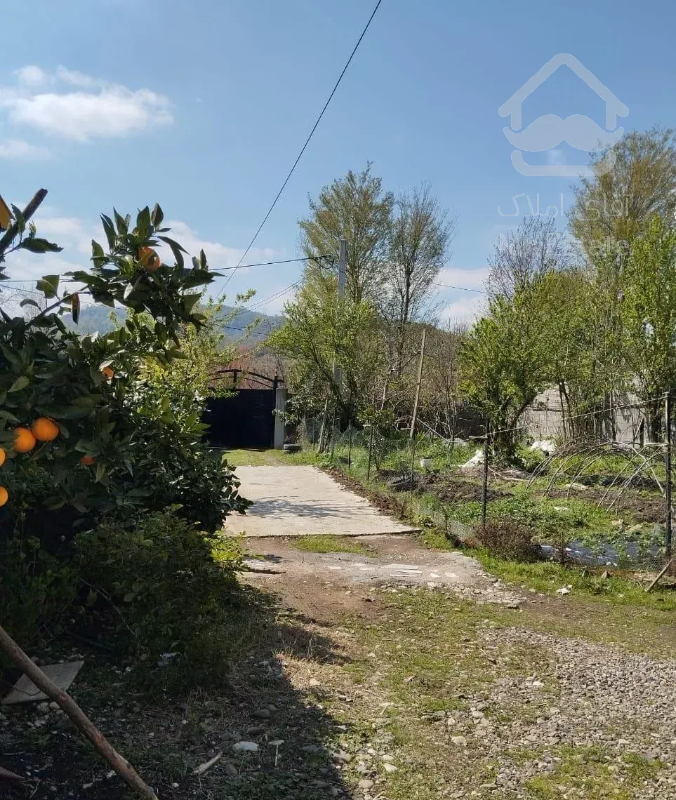 اجاره آپارتمان ۸۰ متری ۱ خوابه طبقه ۱ در پونل