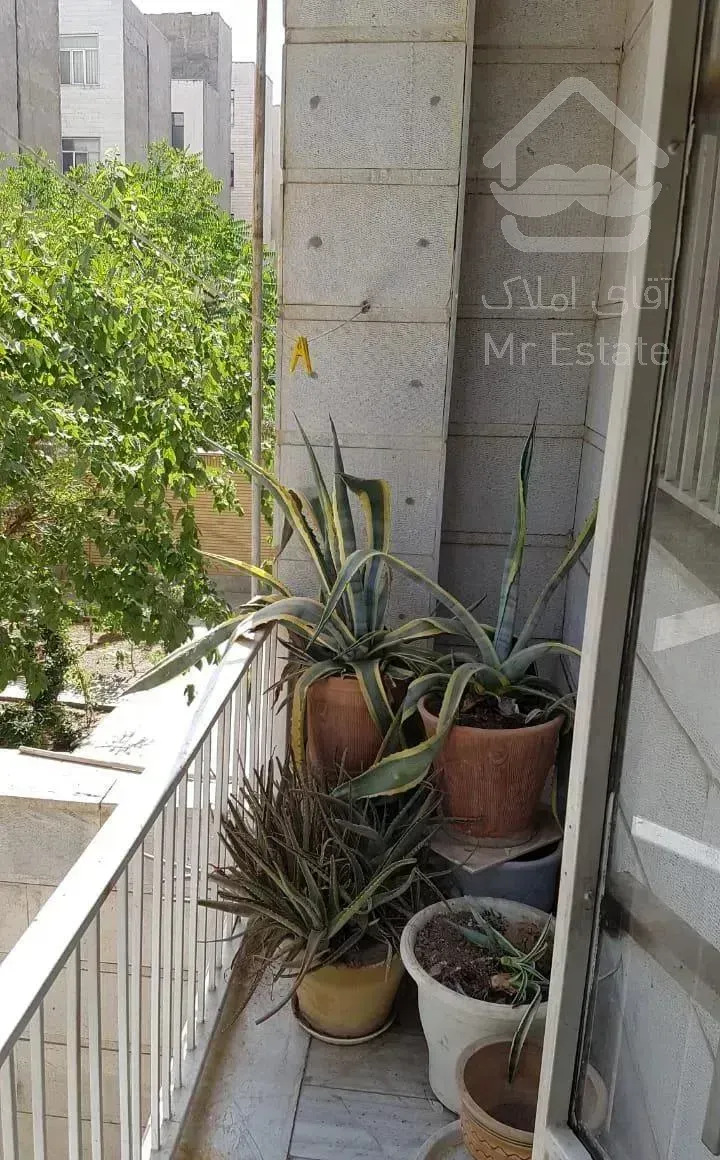 ۱۲۵ متر / فرساد شرقی / دلباز