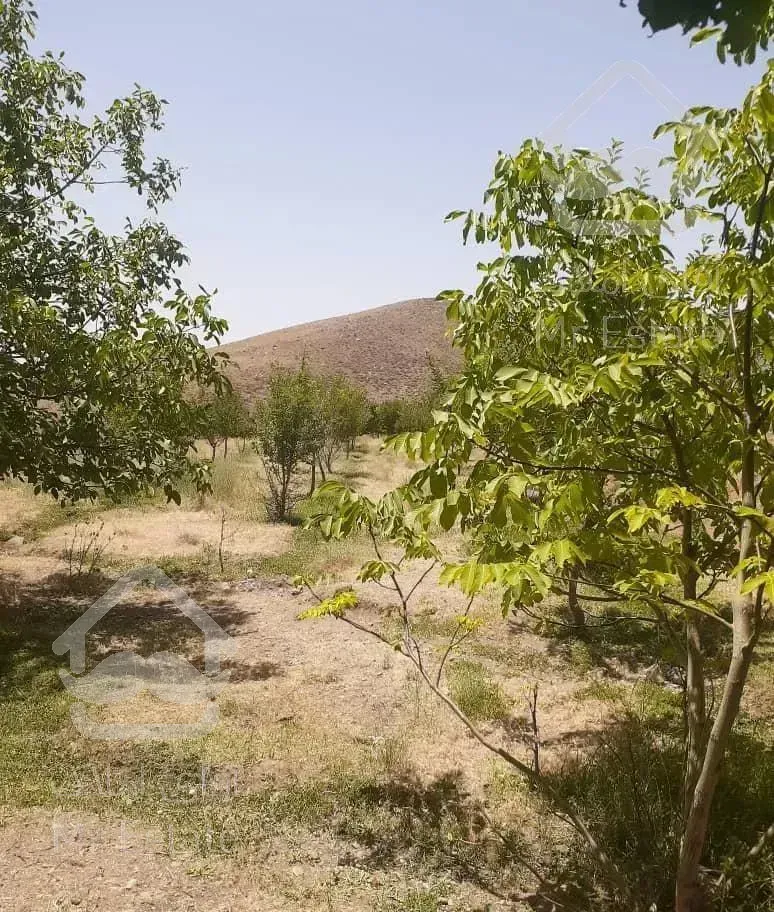 باغ میوه  چشم انداز خیلی عالی