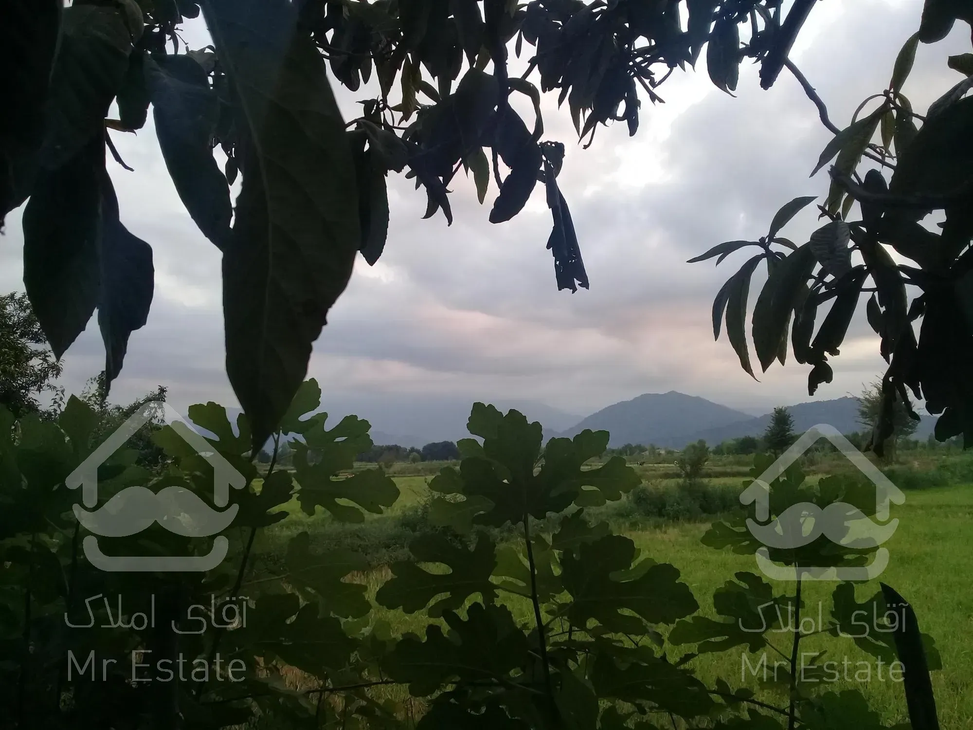 زمین با متراژ بالا و منطقه عالی