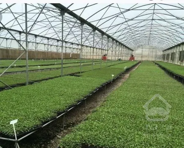 نگهبان و سرایدار گلخانه