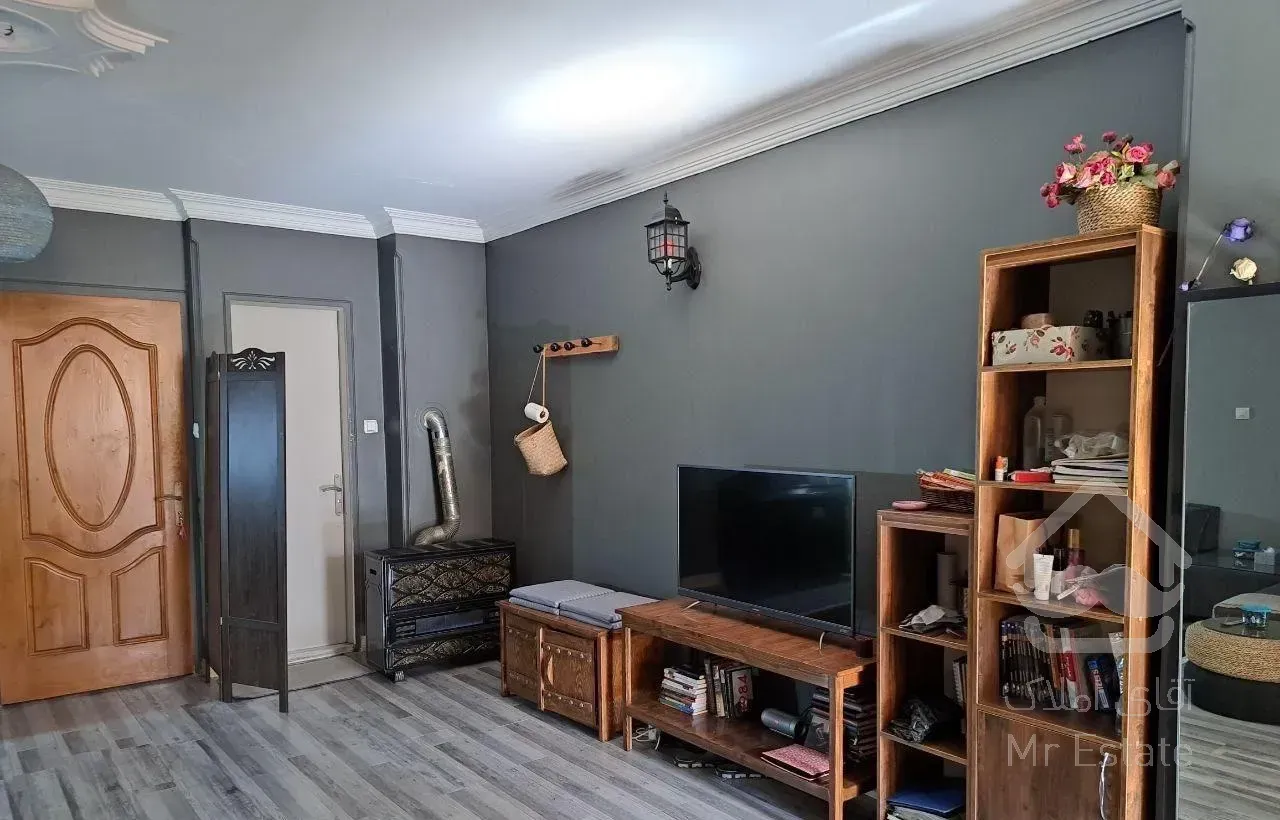 تک واحدی 55 متری خیابان اجاره دار مالک هستم