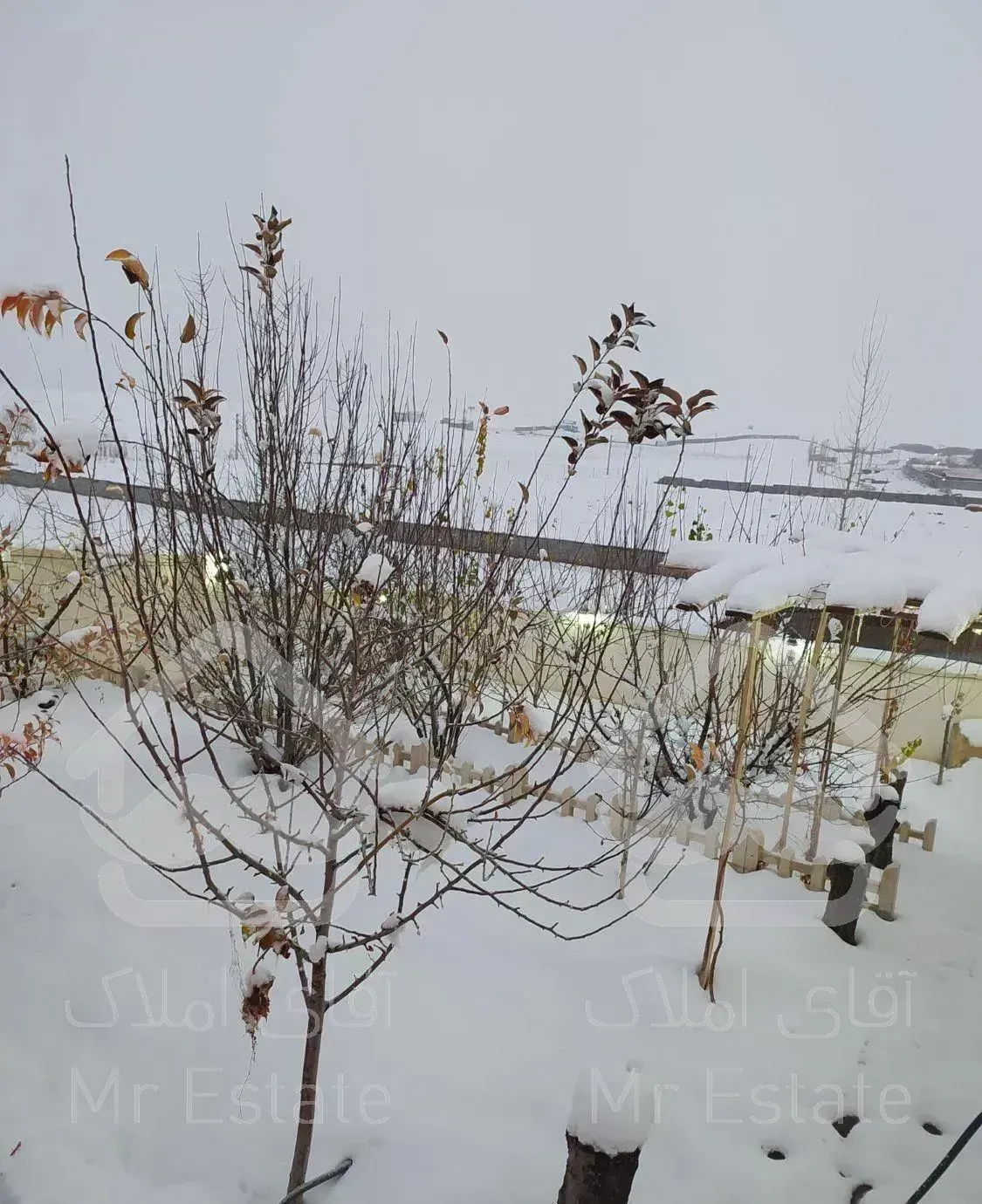 اجاره  ویلا (بدون استخر)